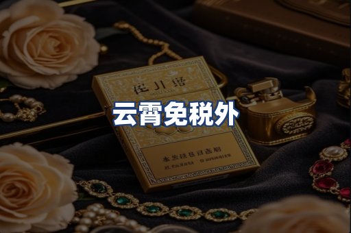 云霄免税外